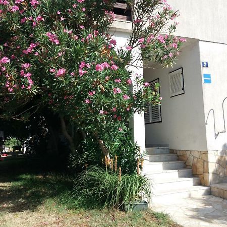Apartman Nona Повляна Экстерьер фото